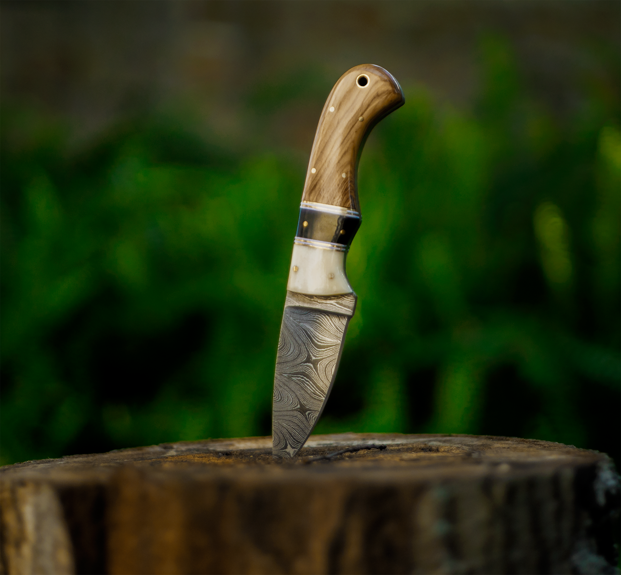 olive wood damascus skinner