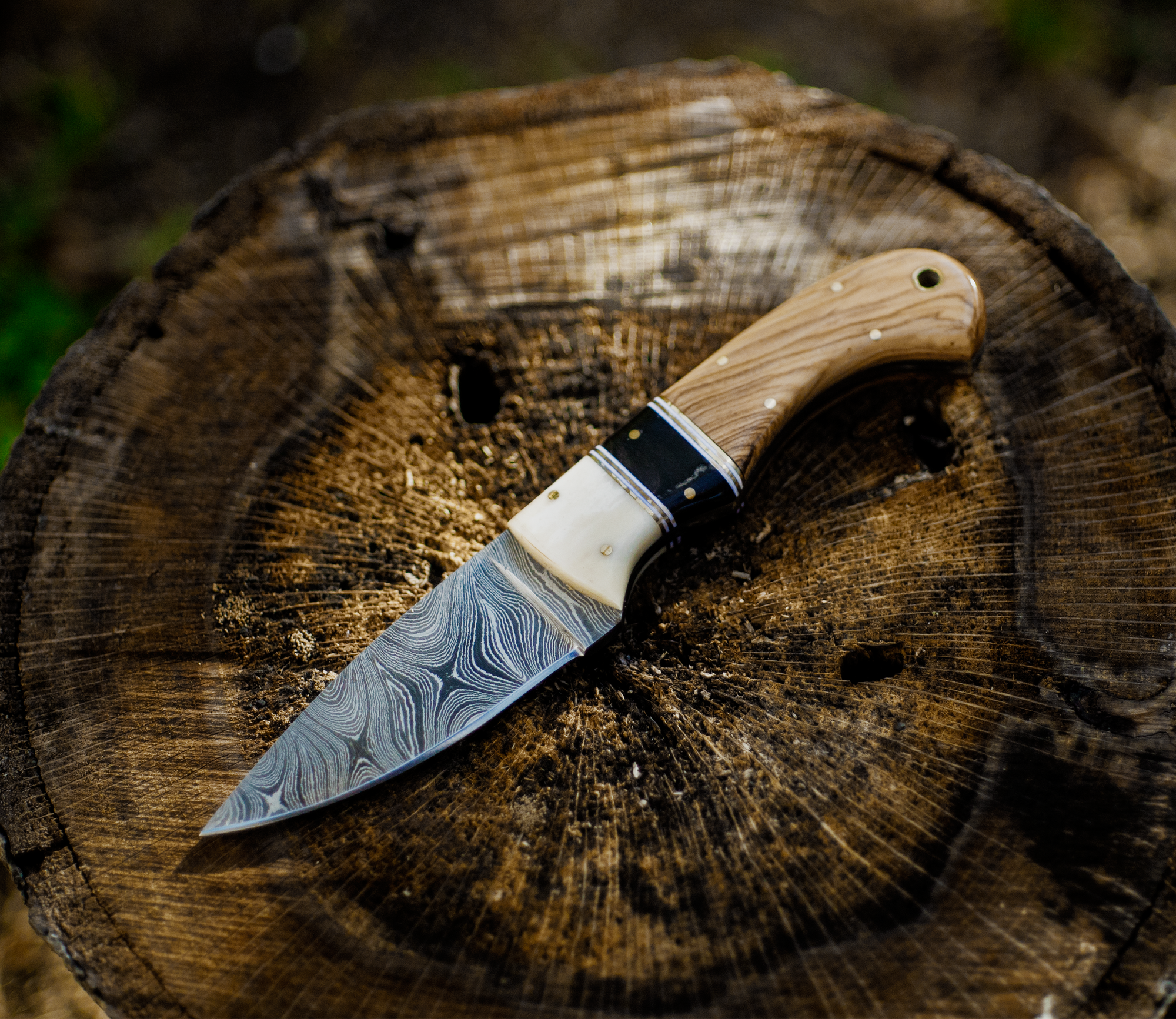 olive wood damascus skinner