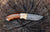 Walnut Fixed Blade- VG22