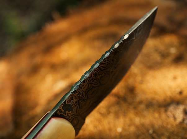 Walnut Fixed Blade- VG22